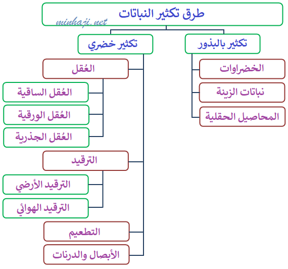 طرق تكثير النباتات